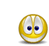Flori